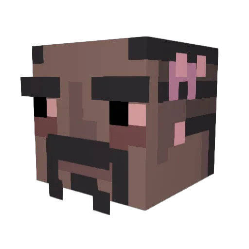 pogskelly2 Minecraft avatar head, 3D render