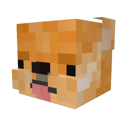 poguini Minecraft avatar head, 3D render
