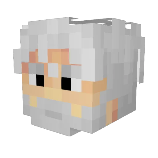 poi_MK Minecraft avatar head, 3D render