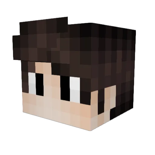 pointreyes Minecraft avatar head, 3D render