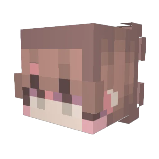 pois7 Minecraft avatar head, 3D render