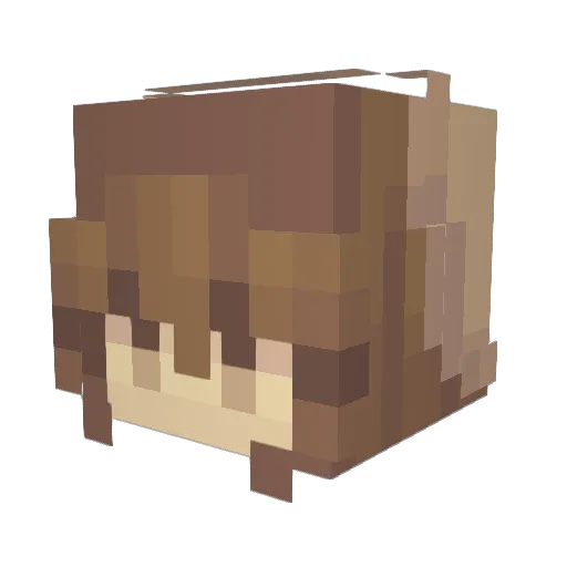 poisonaivi Minecraft avatar head, 3D render
