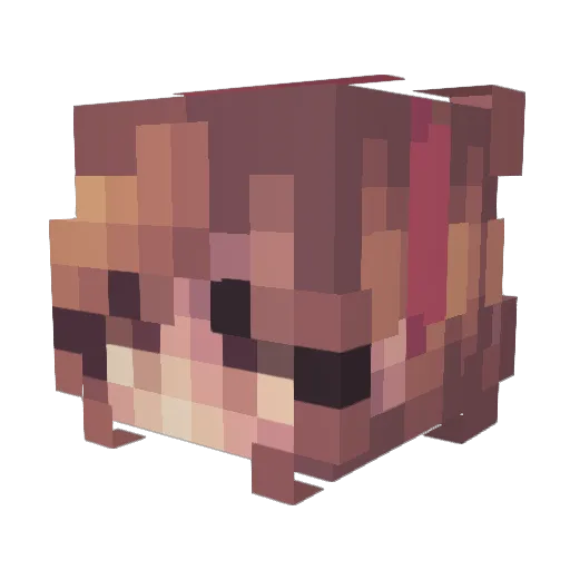 poisonsoda Minecraft avatar head, 3D render