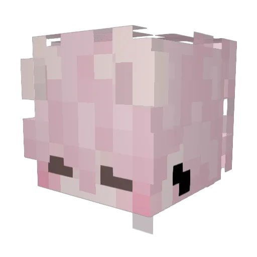 poiyok Minecraft avatar head, 3D render