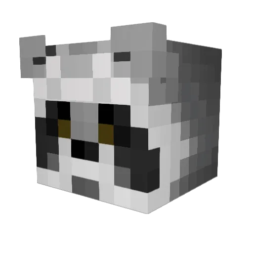 pojken18 Minecraft avatar head, 3D render