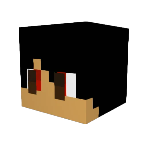 pok118 Minecraft avatar head, 3D render