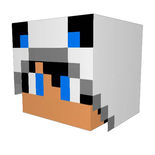 pok6 Minecraft avatar head, 3D render