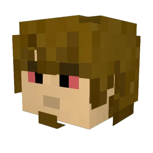 pokaznybigos22 Minecraft avatar head, 3D render