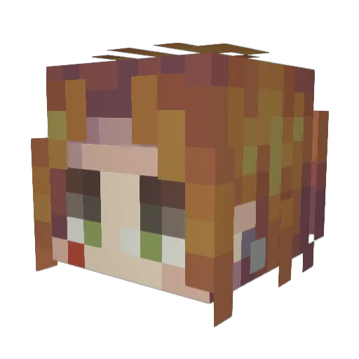 poke9670 Minecraft avatar head, 3D render