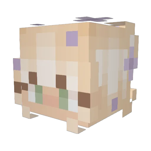 pokealumni Minecraft avatar head, 3D render