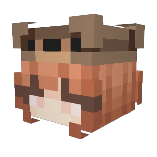 pokeashmoi Minecraft avatar head, 3D render