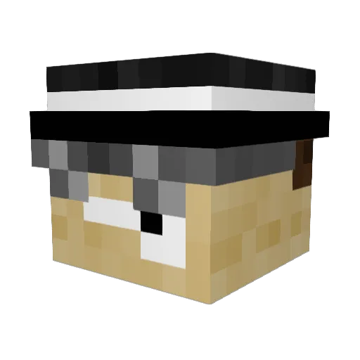 pokedexmaster Minecraft avatar head, 3D render