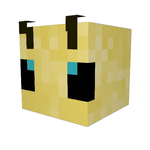 pokeety11 Minecraft avatar head, 3D render