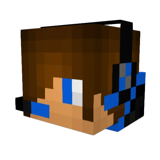 pokejack Minecraft avatar head, 3D render