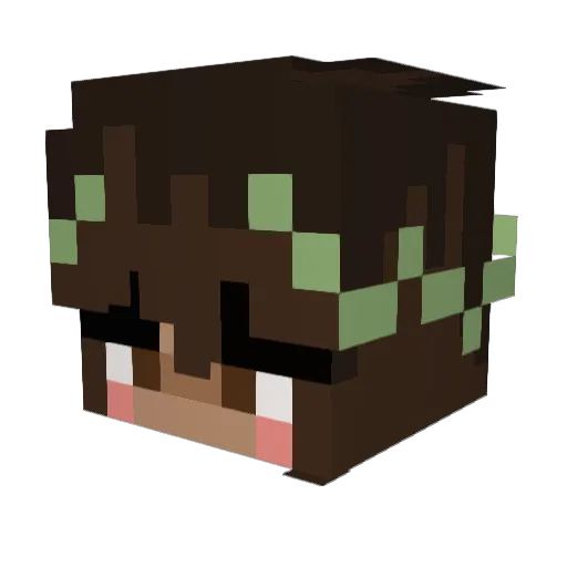 pokekrys Minecraft avatar head, 3D render