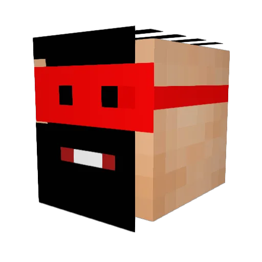 pokemasterbc Minecraft avatar head, 3D render