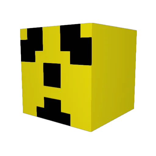 pokemon58 Minecraft avatar head, 3D render