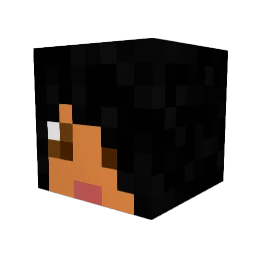 pokemon627 Minecraft avatar head, 3D render