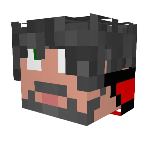 pokemonmasterjr1 Minecraft avatar head, 3D render