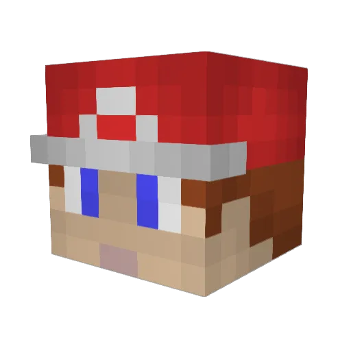 pokeninja11 Minecraft avatar head, 3D render