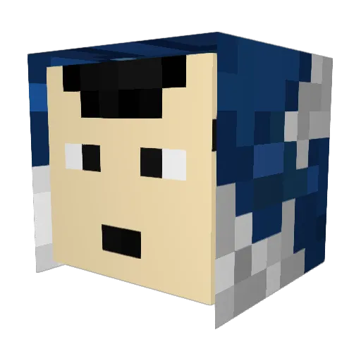 pokeninja2086 Minecraft avatar head, 3D render