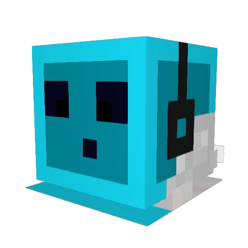 pokepaco Minecraft avatar head, 3D render