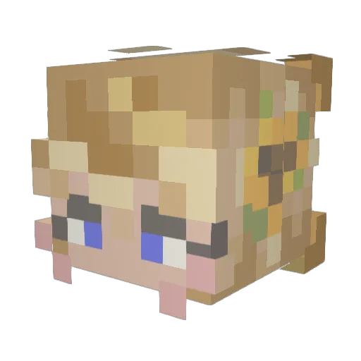 pokeyturtle Minecraft avatar head, 3D render
