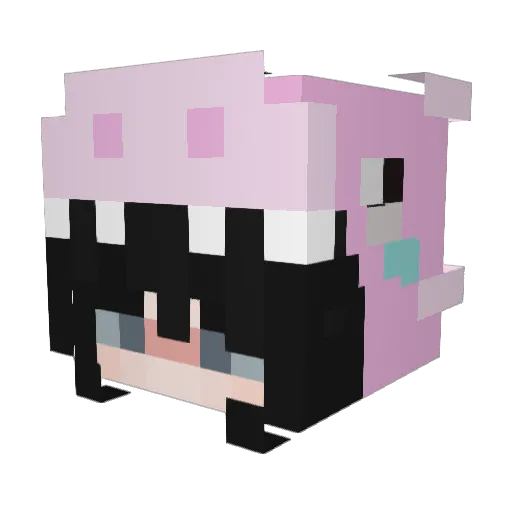 pokiagaming Minecraft avatar head, 3D render