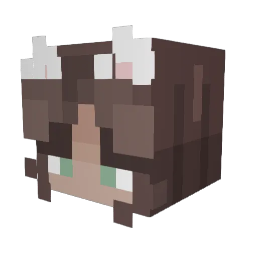 pokiiiiii Minecraft avatar head, 3D render
