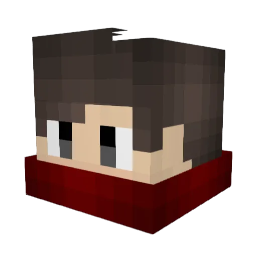 pokiit Minecraft avatar head, 3D render