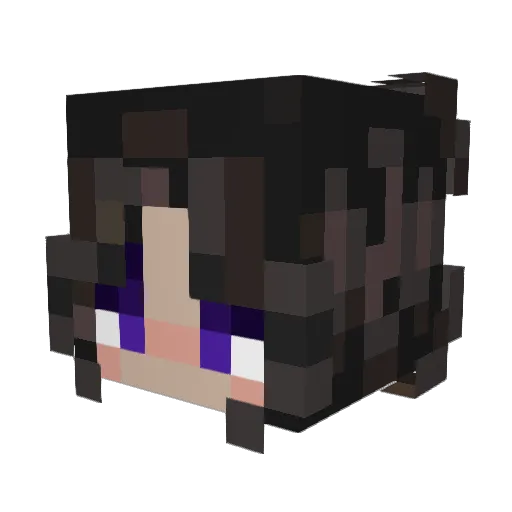 pokkipochi Minecraft avatar head, 3D render