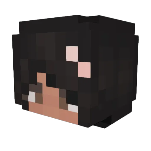 pokkitto Minecraft avatar head, 3D render