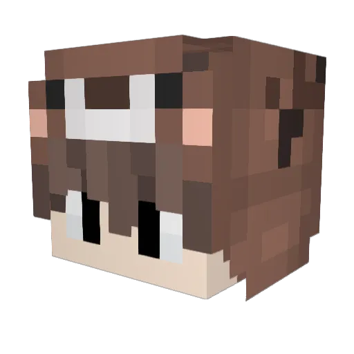 pokl Minecraft avatar head, 3D render