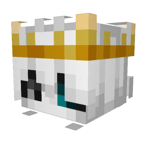 pokuhh Minecraft avatar head, 3D render