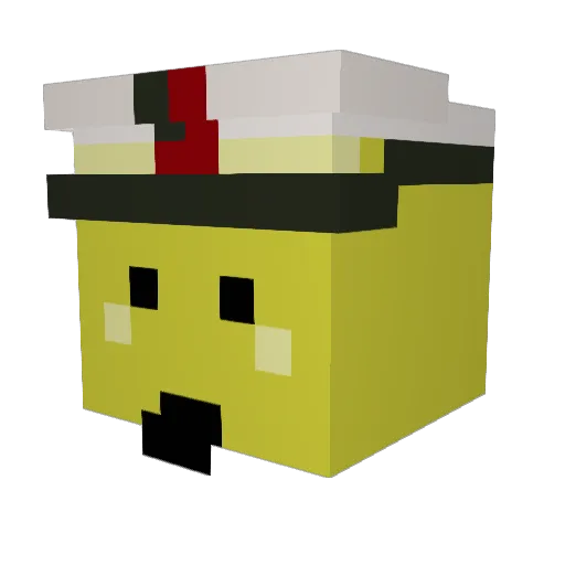 pokynot Minecraft avatar head, 3D render
