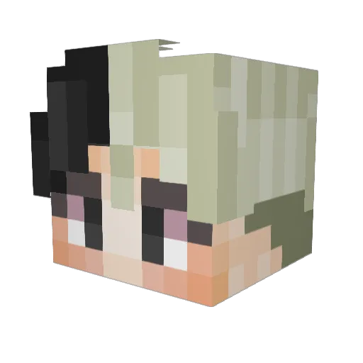 pokyupokyu Minecraft avatar head, 3D render
