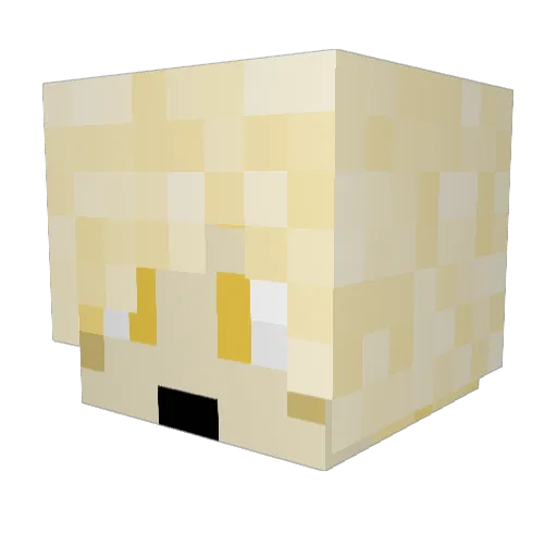 polaco0101 Minecraft avatar head, 3D render
