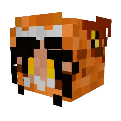 polacytopro Minecraft avatar head, 3D render