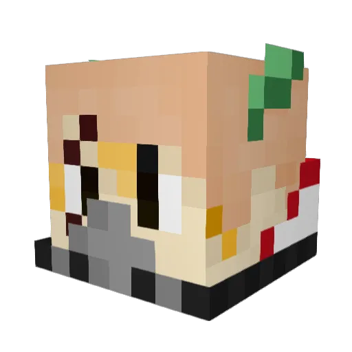 polak102 Minecraft avatar head, 3D render