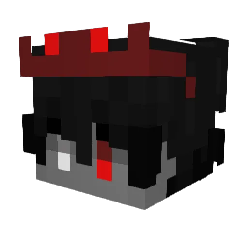 polandinvader Minecraft avatar head, 3D render