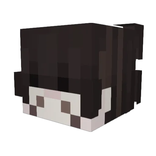 polandspring69 Minecraft avatar head, 3D render