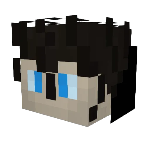 polanyy Minecraft avatar head, 3D render