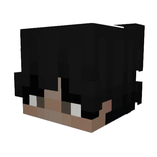 polarate Minecraft avatar head, 3D render