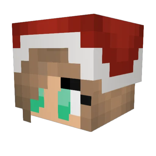 polarbear007 Minecraft avatar head, 3D render