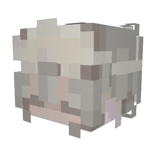 polarbearJP Minecraft avatar head, 3D render
