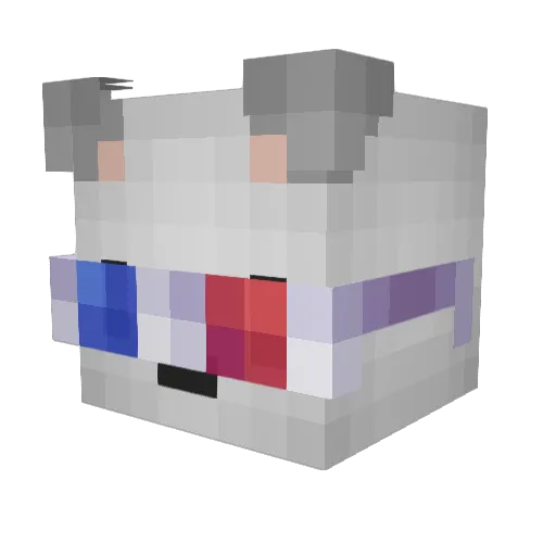 polarbearinspace Minecraft avatar head, 3D render