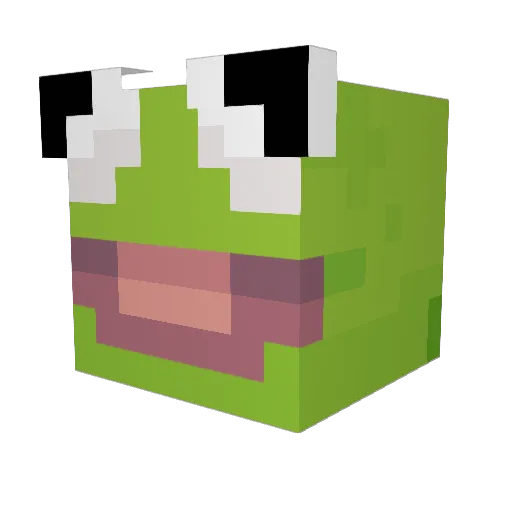 polarboy1234 Minecraft avatar head, 3D render