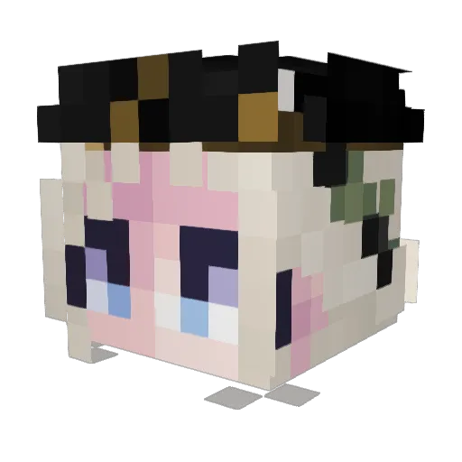 polardoc123 Minecraft avatar head, 3D render