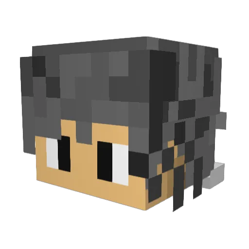 polarful Minecraft avatar head, 3D render