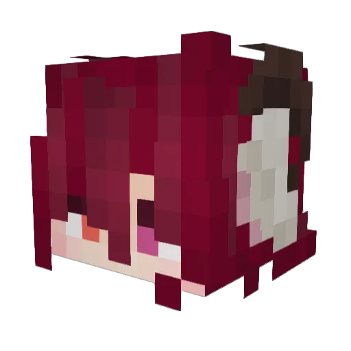 polaroidcam Minecraft avatar head, 3D render